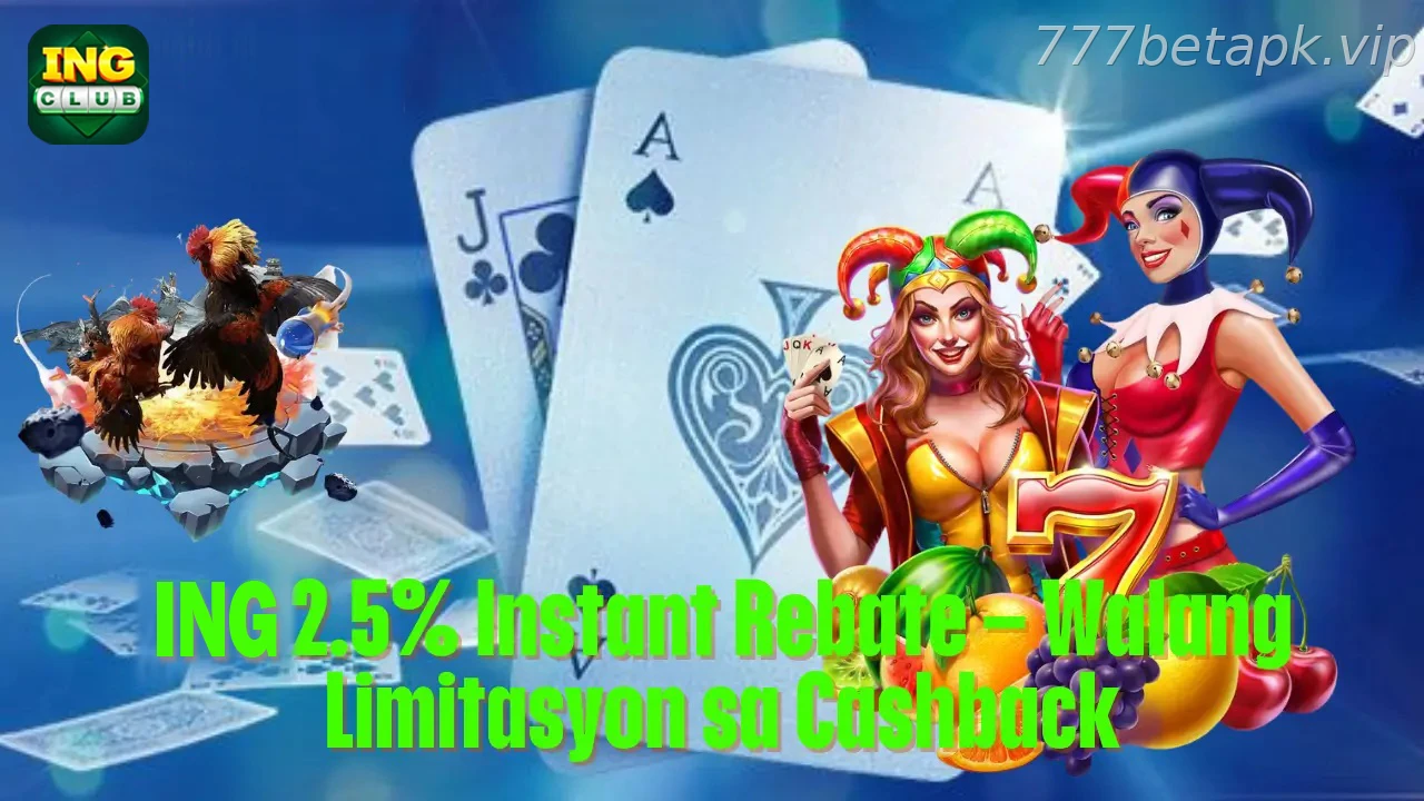 777BET 2.5% Instant Rebate India: Cashback Rules and Claim Tips - Cashback Rules and Rebate Tracking
