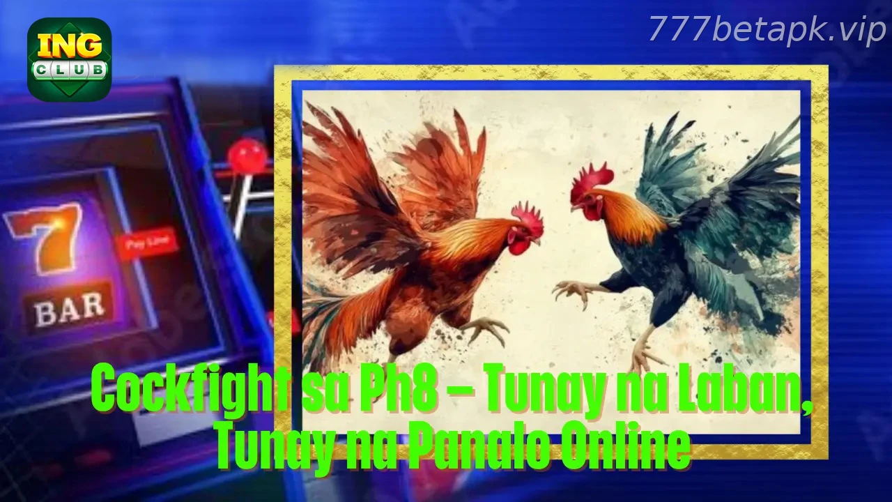 Online Cockfight on 777BET India: Market Guide, Odds and Responsible Play - Odds Reading and Betting Limits